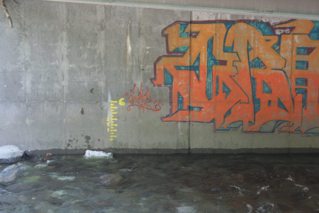 Ridley Brook Vermont Whitewater Gauge